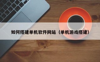 澧县如何搭建单机软件网站（单机游戏搭建）